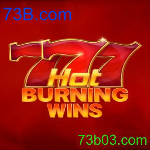 Tudo Sobre HotBurningWins: Descrição e Regras do Jogo